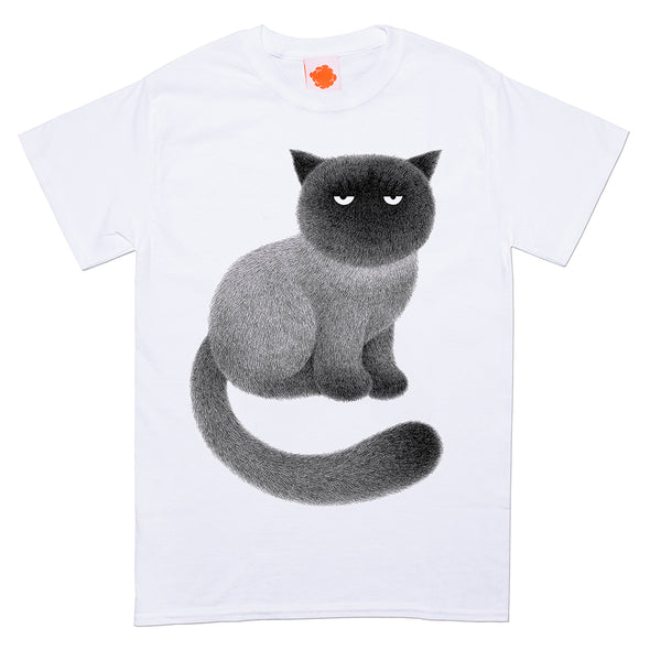 Kitty no.35
